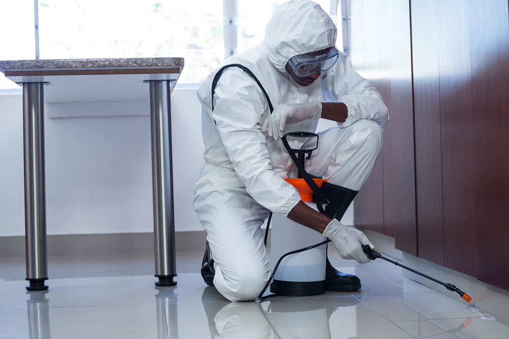 4 handy tips to choose a pest control company